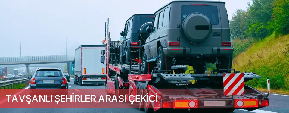 Tavşanlı İlçemi Şehirler Arası Çekici